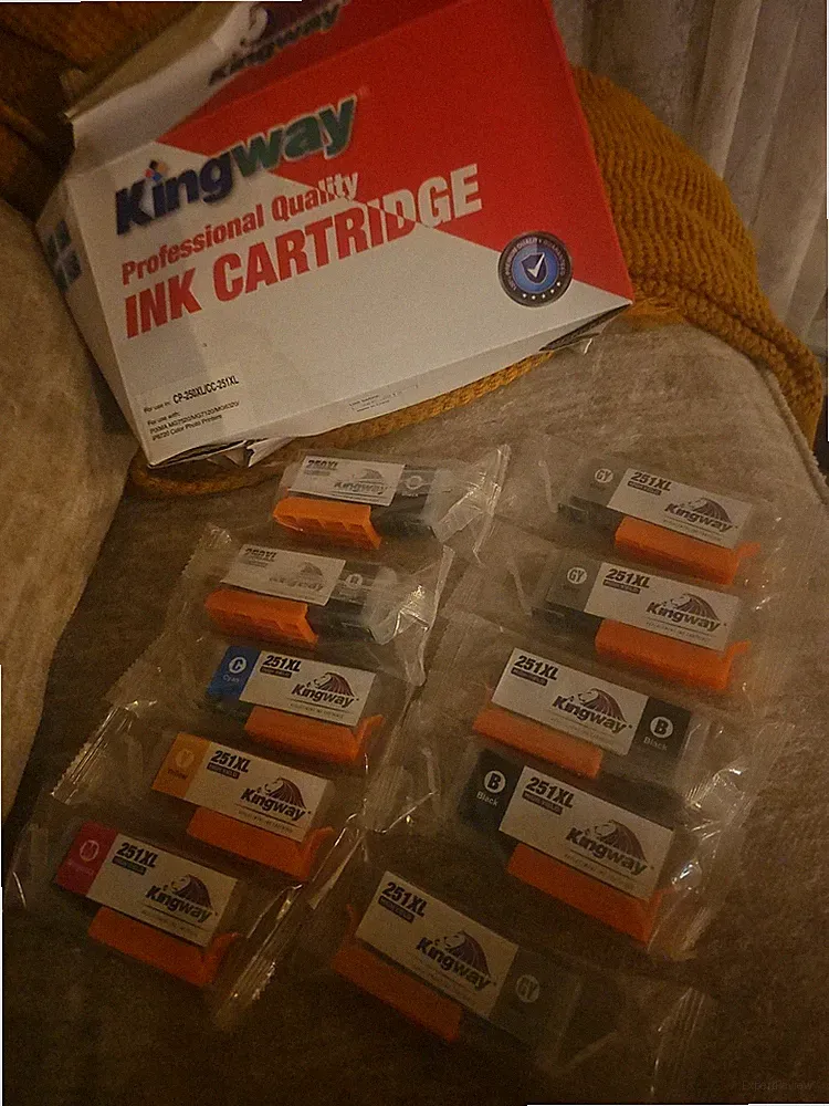 Kingway Professional Ink Cartridges Pixma Photo Printer 251 250 XL 10 Pack AB